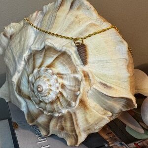 Elegant Gold Necklace with Brown Shell Pendant
